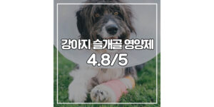 강아지 슬개골 영양제 평점