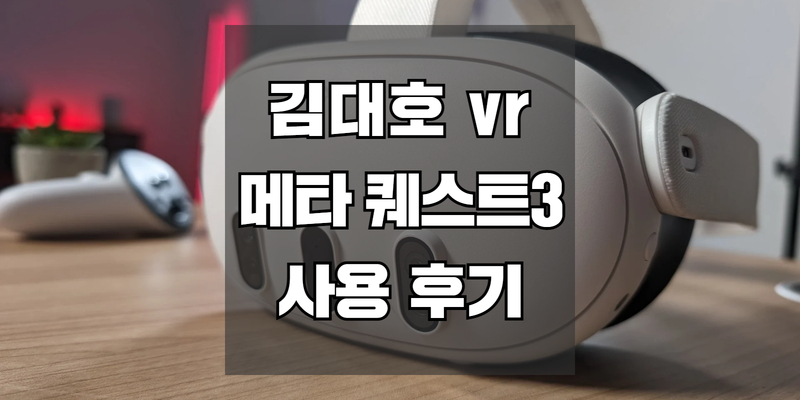 김대호 vr 나혼산에서 난리 난 메타 퀘스트3