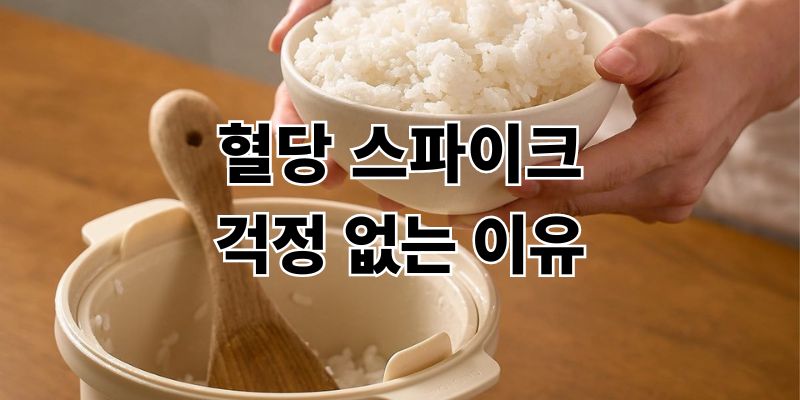 혈당 스파이크 막는 저당 밥솥 칼로볼