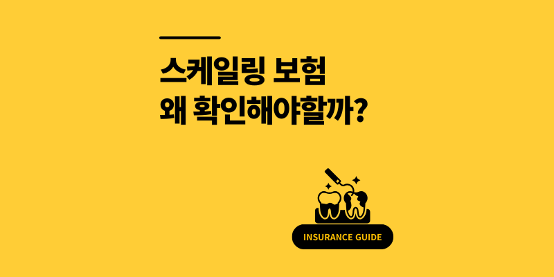 스케일링 보험 주기 왜 확인해야할까? 모르면 손해