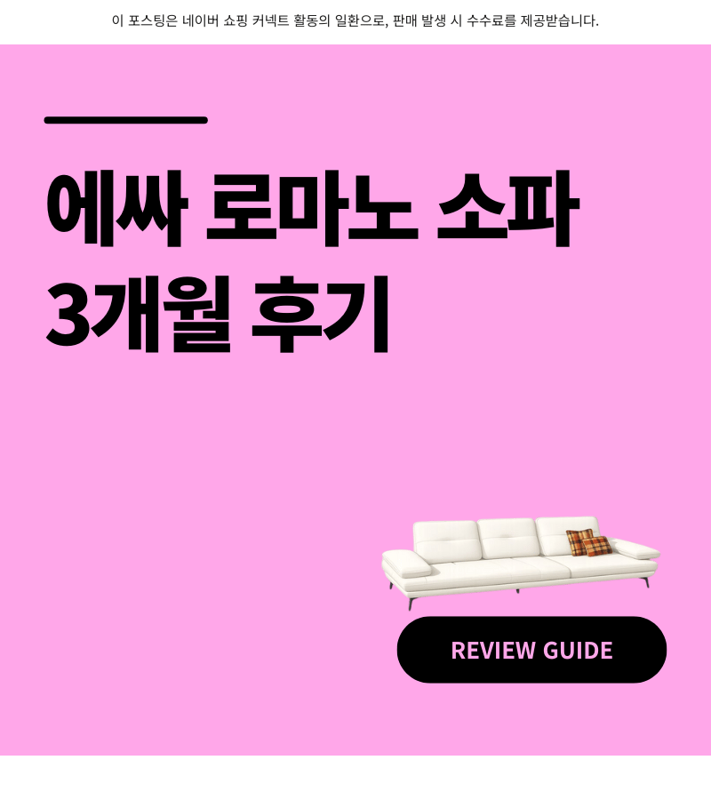 에싸 소파 로마노 깐깐한 내돈내산 3개월 후기 장단점 비교