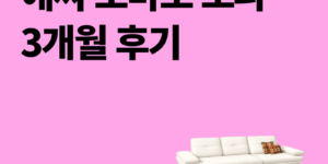 에싸 소파 로마노 깐깐한 내돈내산 3개월 후기 장단점 비교