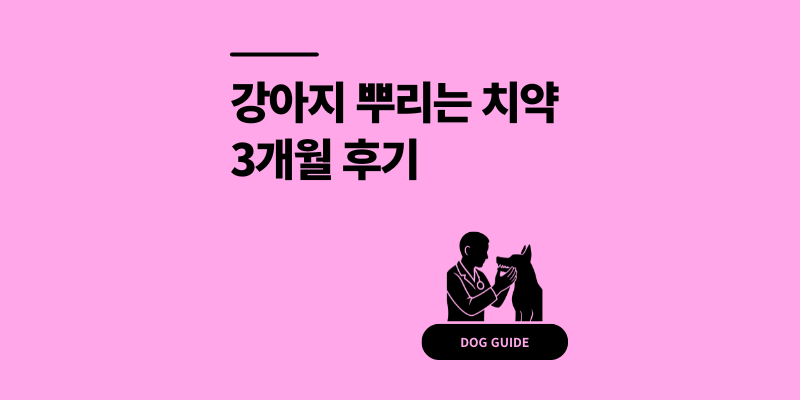 강아지 뿌리는 치약 효과 있을까? 내돈내산 3개월 찐후기