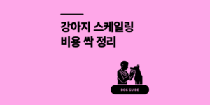 강아지 스케일링 비용 치석 제거 관리 방법 3가지