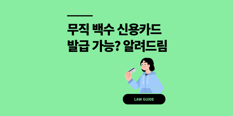 무직 백수 신용카드 발급 가능? 예금 증명 통과 후기