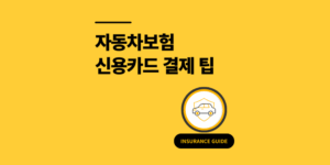 자동차보험 신용카드 결제하니 10만원 할인 방법