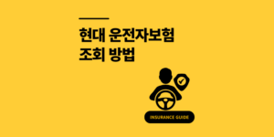 현대 운전자보험 조회, 3분만에 가입여부 확인 방법